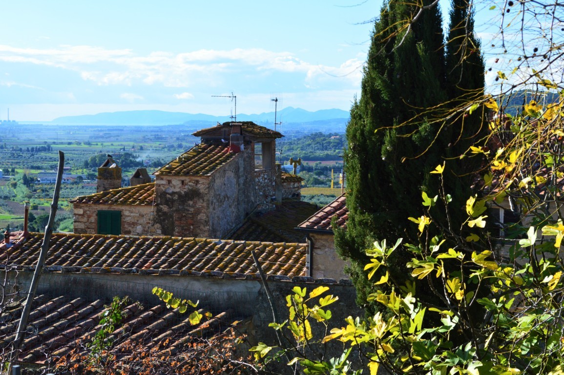 ROCCA 16